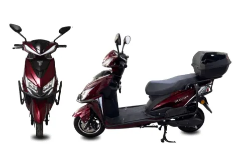 Zippy (with Protection Frame & Tail Box)